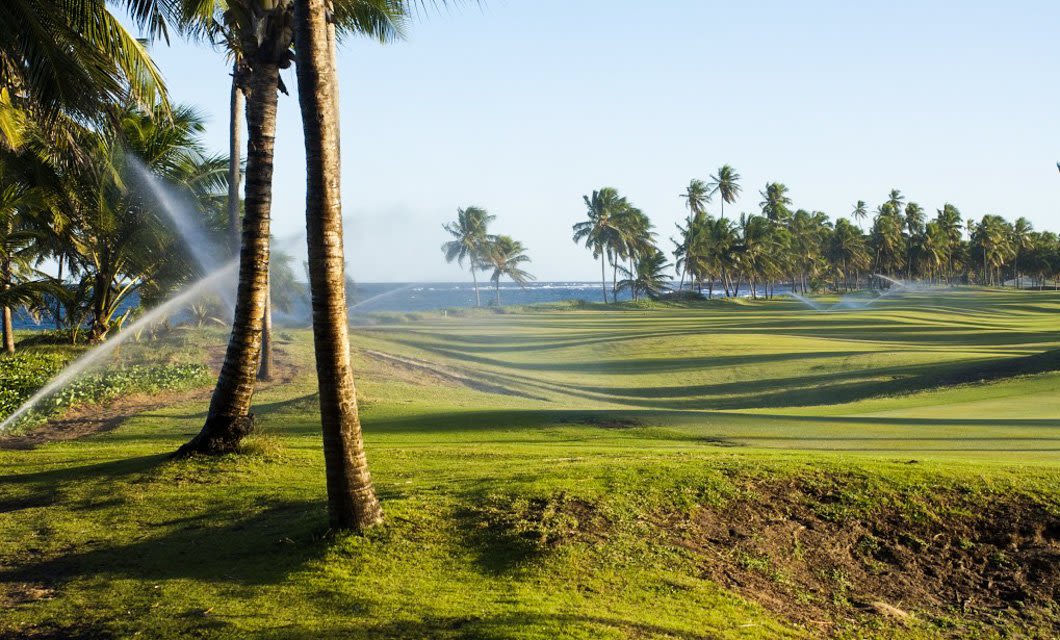 Sprinklers water a lush, green golf course lined with tall palm trees under a clear blue sky, with the ocean visible in the background—a perfect scene for an unforgettable South America Golf adventure.