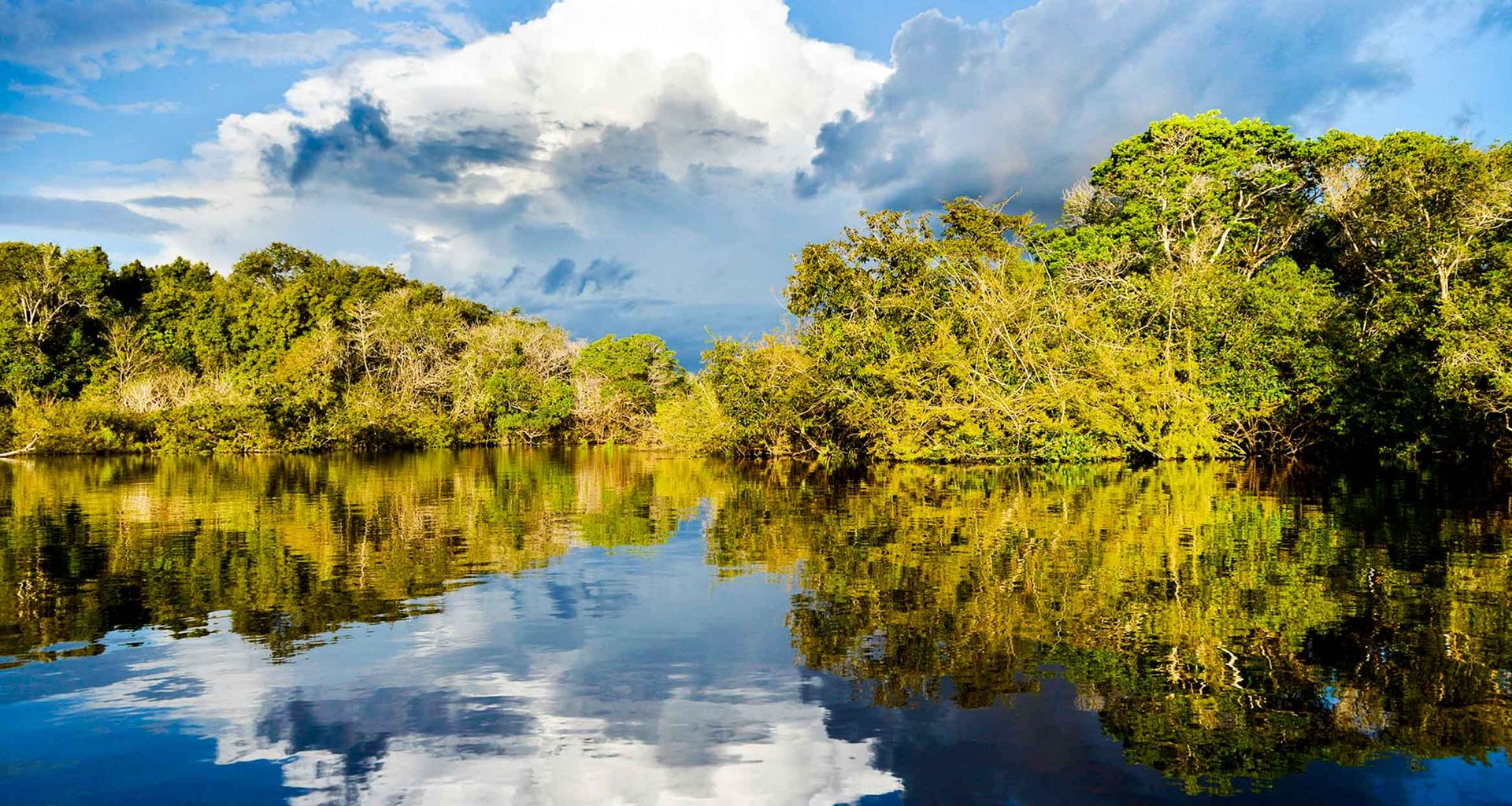Bright green trees line the edge of a calm river in Brazil, their reflections mirrored perfectly in the water. Above, dramatic clouds fill the blue sky, capturing the vibrant beauty often seen on a Brazil Amazon tour.