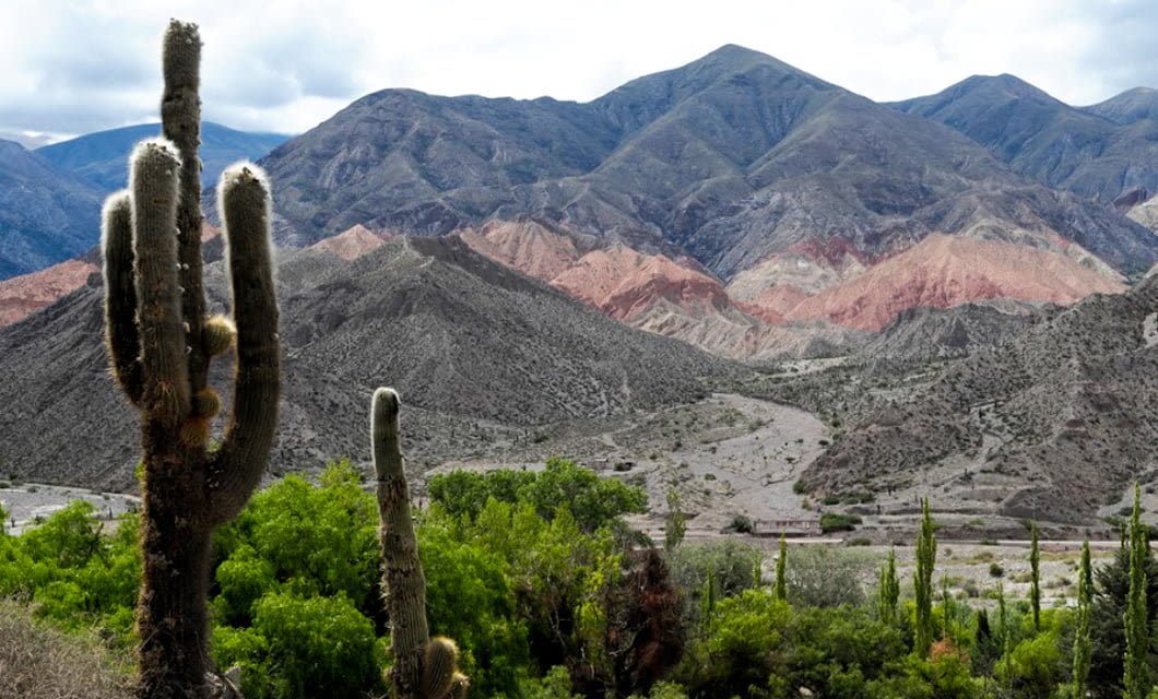 Tall cacti in the foreground with green shrubs, set against arid hills and the colorful layered mountains of Northern Argentina under a cloudy sky—a landscape showcasing natural wonders.