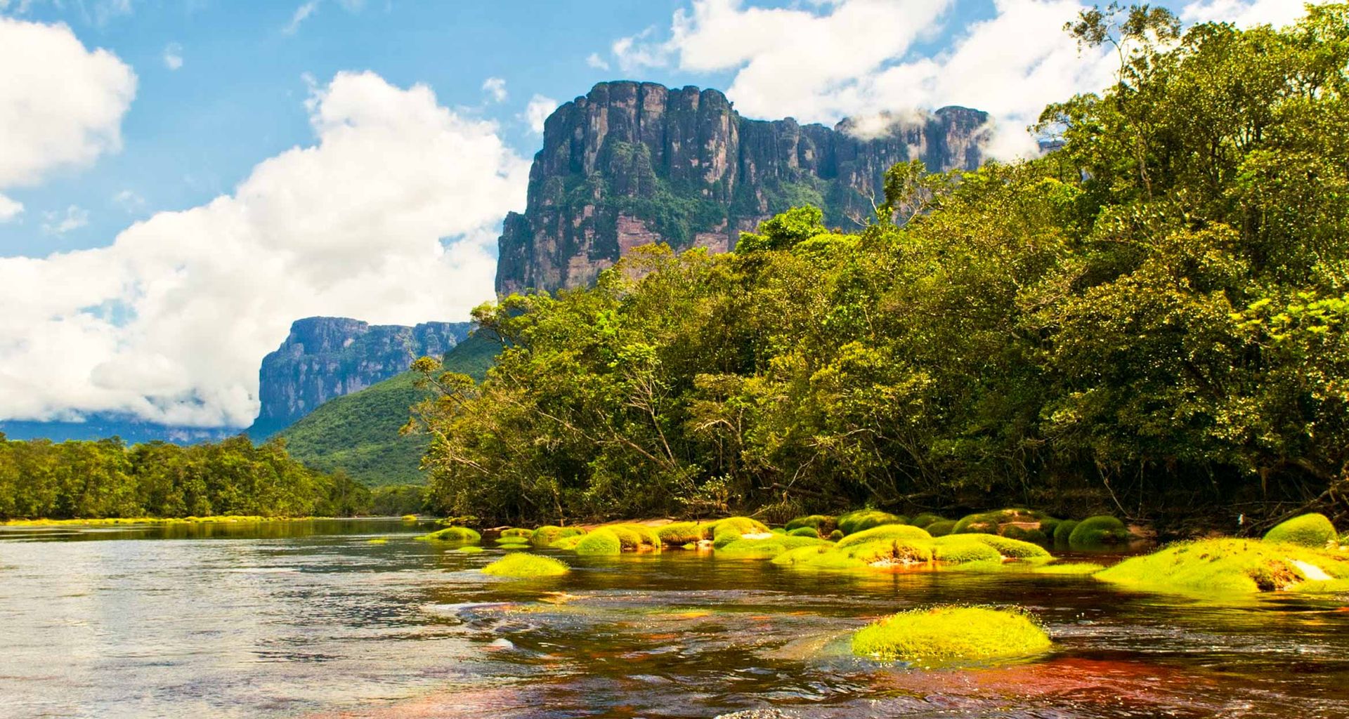 A scenic view of a river with moss-covered rocks, dense green jungle, and a large flat-topped mountain under a blue sky with white clouds—one of the many Highlights of Venezuela ideal for your next Venezuela travel adventure.