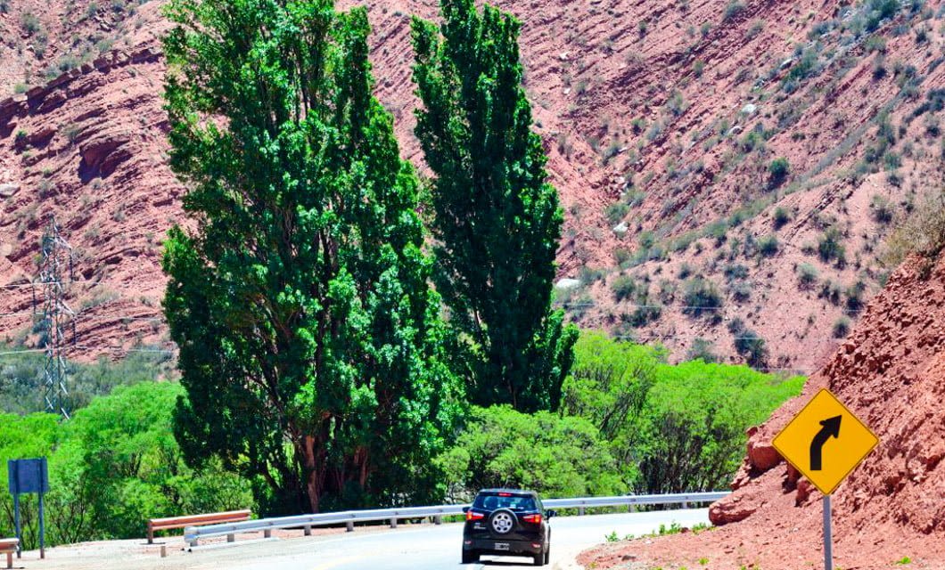 A car drives along a curved road surrounded by tall green trees and red rocky hills, reminiscent of the landscapes found in Triassic Parks, with a road sign indicating a right turn ahead.