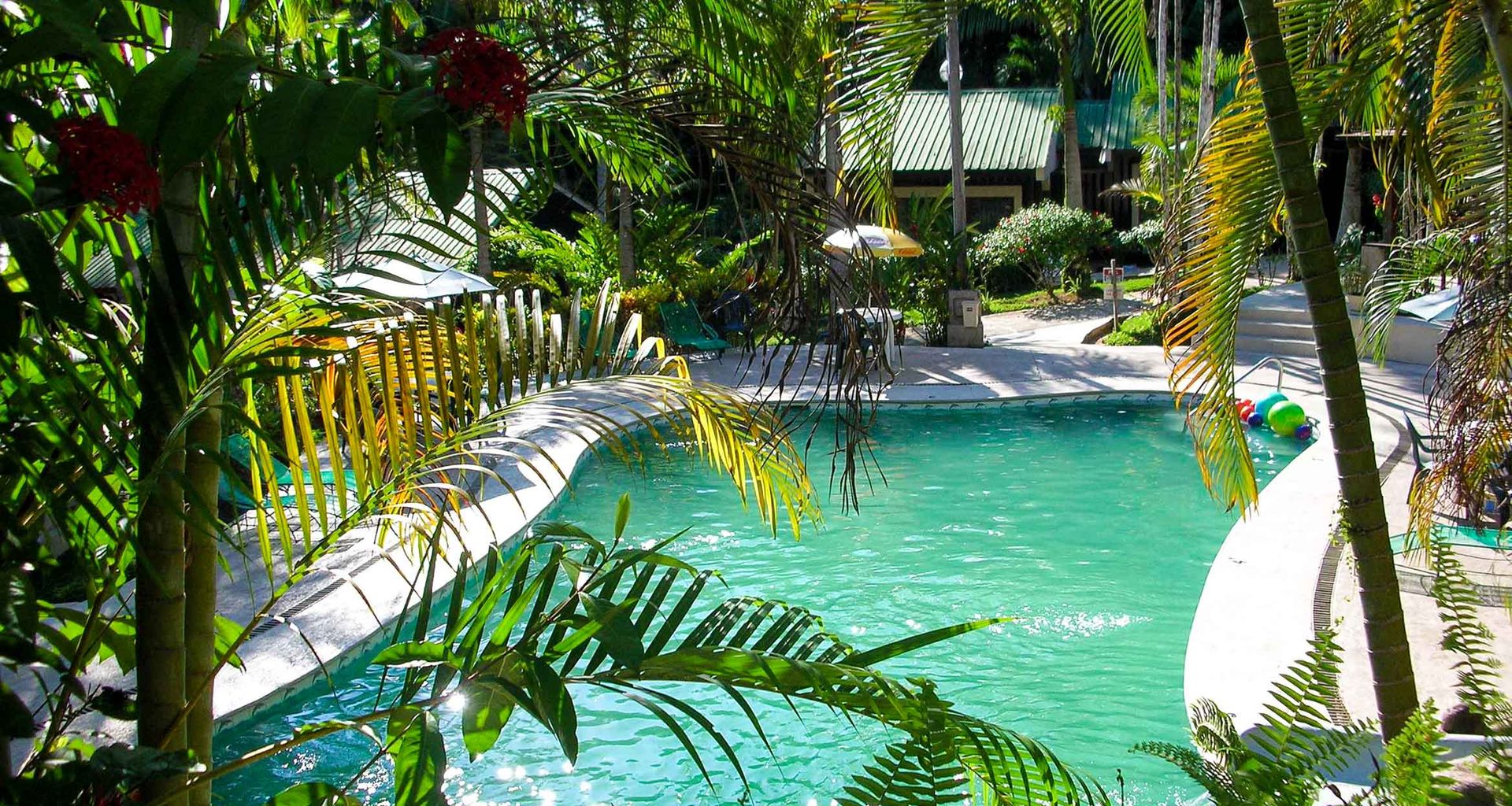 A tropical outdoor swimming pool at Ceiba Tops Lodge is surrounded by lush green palm trees, vibrant plants, and flowers, with lounge chairs and umbrellas in the background on a sunny day.