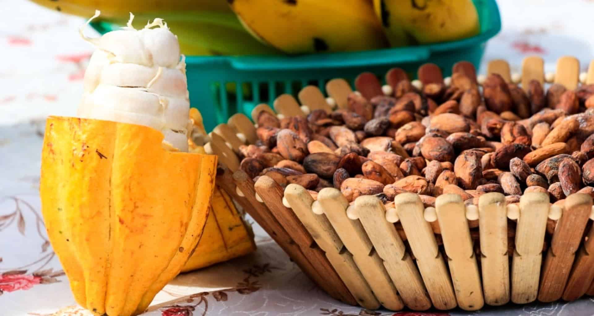 A basket of dried cocoa beans sits next to an opened yellow cocoa pod with white cocoa pulp and seeds, all placed on a floral-patterned tablecloth. A green basket with bananas hints at the flavors of chocolate you might experience on a tour in Peru.