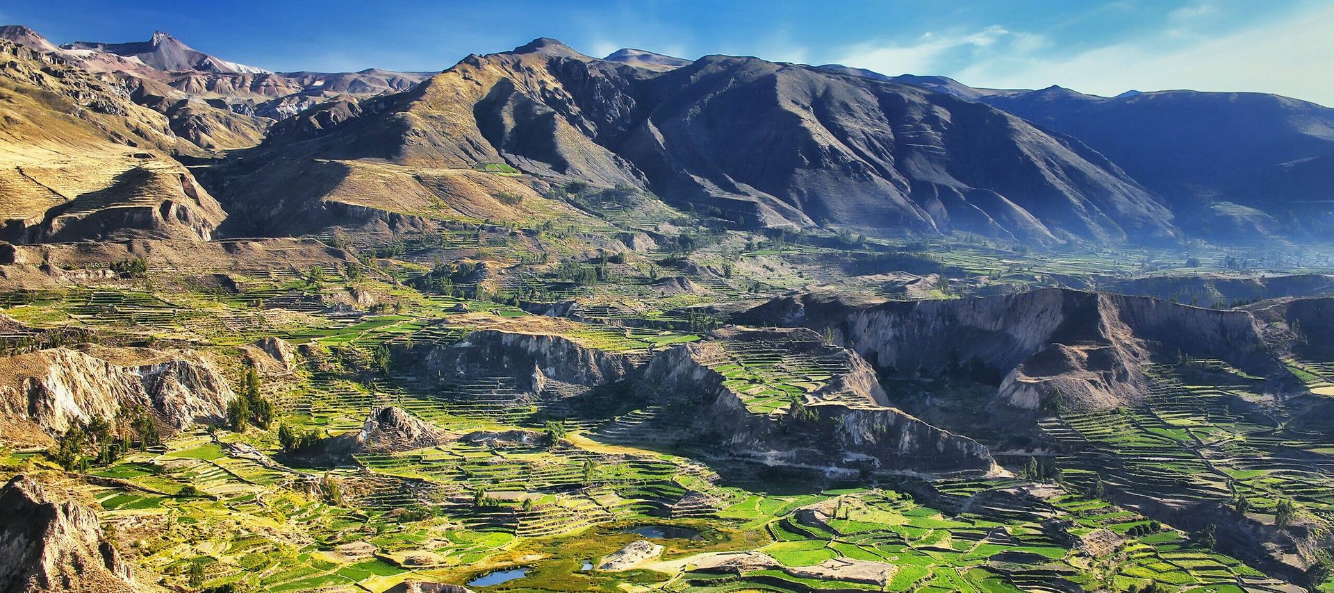 A panoramic view of terraced green fields and farmland spread across a lush valley, surrounded by tall, rugged mountains under a clear blue sky—an unforgettable scene on Colca Canyon Tours.