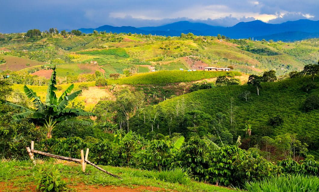 Rolling green hills with patches of farmland and trees under a dramatic sky with dark clouds; distant mountains rise on the horizon, and a few buildings—perhaps part of a Colombia Coffee Tour—are scattered among the landscape.