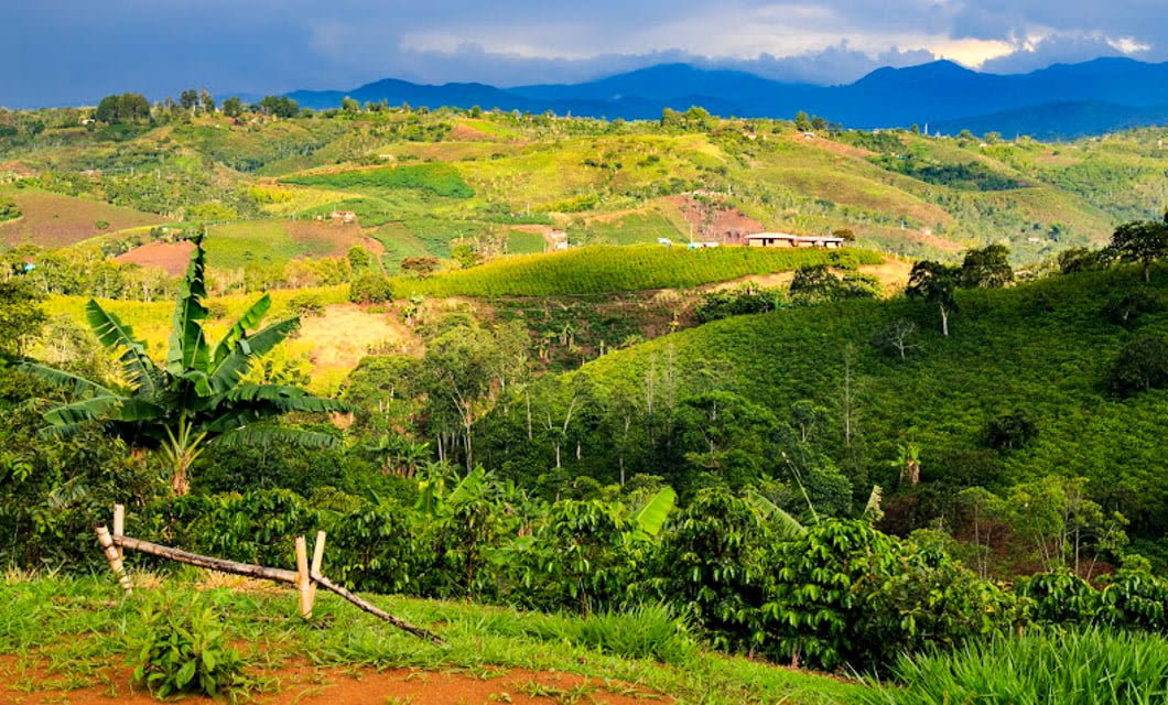 Rolling green hills covered with lush vegetation and farms stretch into the distance under a dramatic cloudy sky, with patches of sunlight highlighting the landscape—an idyllic scene on a Colombia Tour from Bogota to San Agustin.