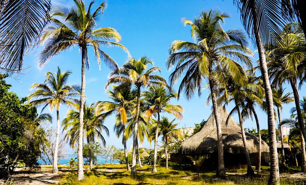 Tall palm trees and lush greenery surround several thatched-roof huts, with a glimpse of blue sky and ocean beyond—creating a tranquil setting perfect for a Colombia Tour or Caribbean Tour adventure.