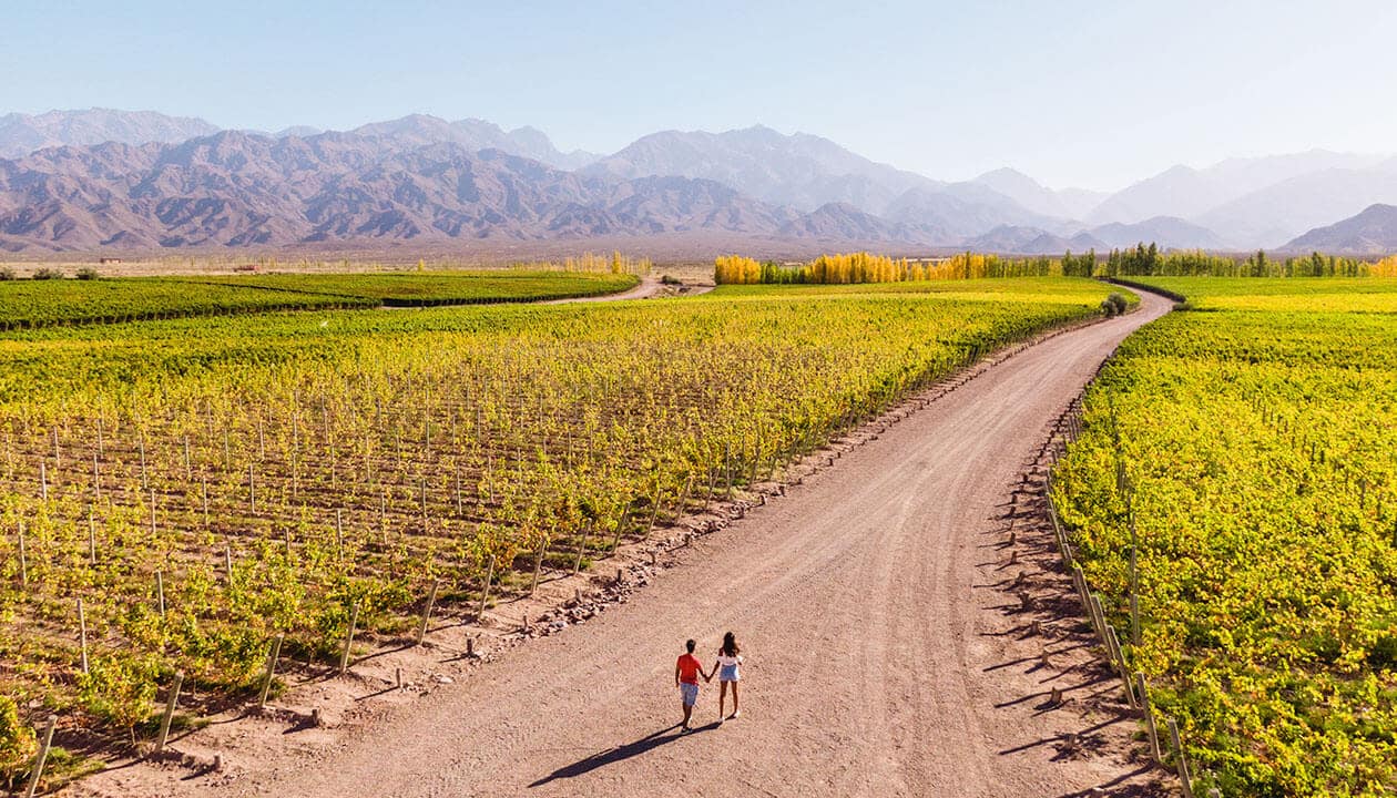 A couple on their honeymoon holds hands as they walk along a dirt road through a vibrant green vineyard, with majestic Sacred Valley mountains and a clear sky in the background.