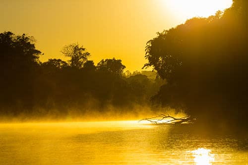 Sunrise over a river evokes a true Amazonian experience, with golden light reflecting on the water, mist rising from the surface, and silhouettes of dense trees along the riverbank.