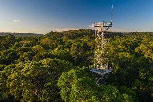 A tall metal observation tower rises above dense green forest at Cristalino Lodge, offering an authentic Amazonian experience with lush treetops stretching into the distance under a clear blue sky.
