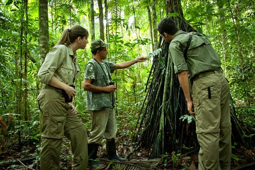 Three people in khaki clothing stand in a lush green forest, closely observing as one person points to a structure made of sticks and branches—immersed in an authentic Amazonian experience reminiscent of explorations near Cristalino Lodge.