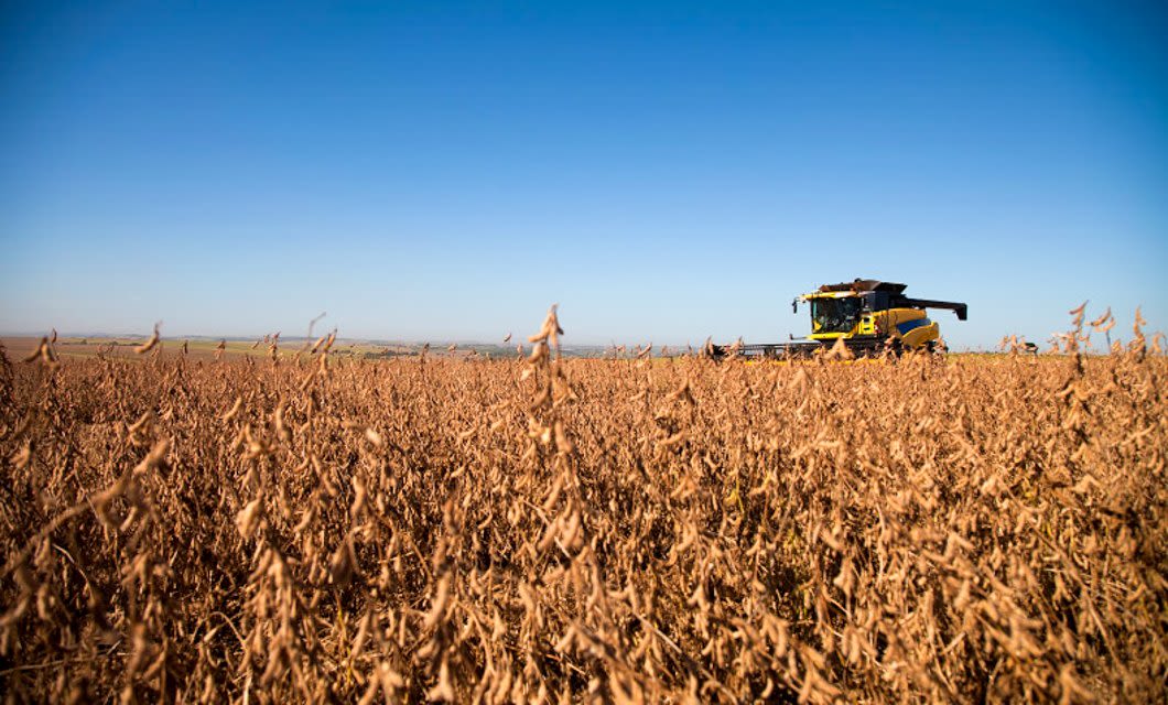 A yellow combine harvester works in a large, dry soybean field under a clear blue sky, with distant hills visible on the horizon—showcasing the scale of Brazil agriculture.