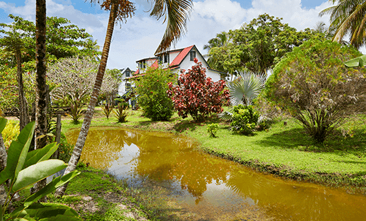 A small brown stream runs through a lush, tropical garden with palm trees and colorful plants. A white house with a red roof sits in the background under a partly cloudy sky—perfect for a scenic stop on your Guianas Tour or adventurous Three Guianas journey.