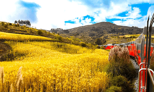 A bright red train, reminiscent of Ecuador’s famous Devil's Nose Train, travels through golden fields with gently rolling hills in the background under a partly cloudy blue sky, promising a vibrant and scenic Ecuador tour through the countryside.