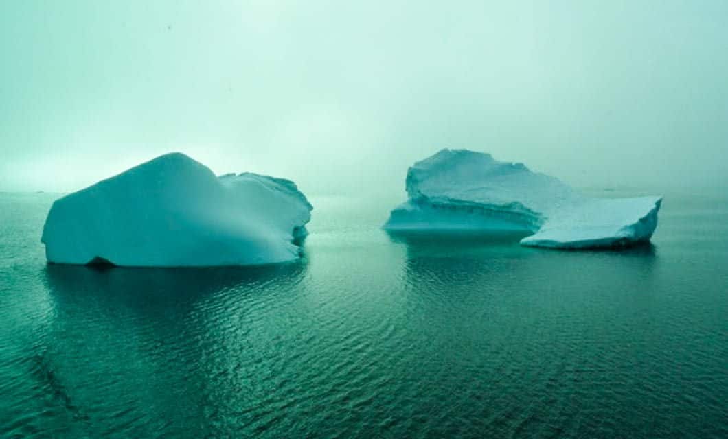 Two large icebergs float on calm, greenish-blue water under a foggy, overcast sky, capturing the serene and chilly atmosphere of an Antarctic expedition with Antarctica XXI.