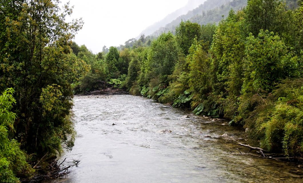 A shallow, clear river flows between lush green trees on both sides, with dense forest and misty hills of Great Northern Patagonia visible in the background under an overcast sky.
