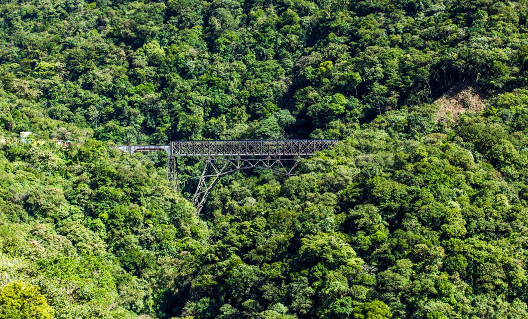 A metal railway bridge stretches across a dense, green forest, surrounded by tall trees, lush vegetation, and the distant sound of waterfalls echoing through the landscape.