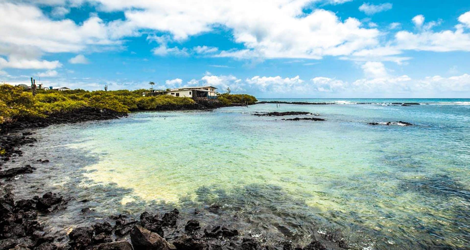 A clear, shallow bay with turquoise water and black volcanic rocks, bordered by green shrubs. Nearby, a few houses—like those at Galapagos Safari Camp luxury safari lodge—sit near the shore under a blue sky with scattered white clouds.