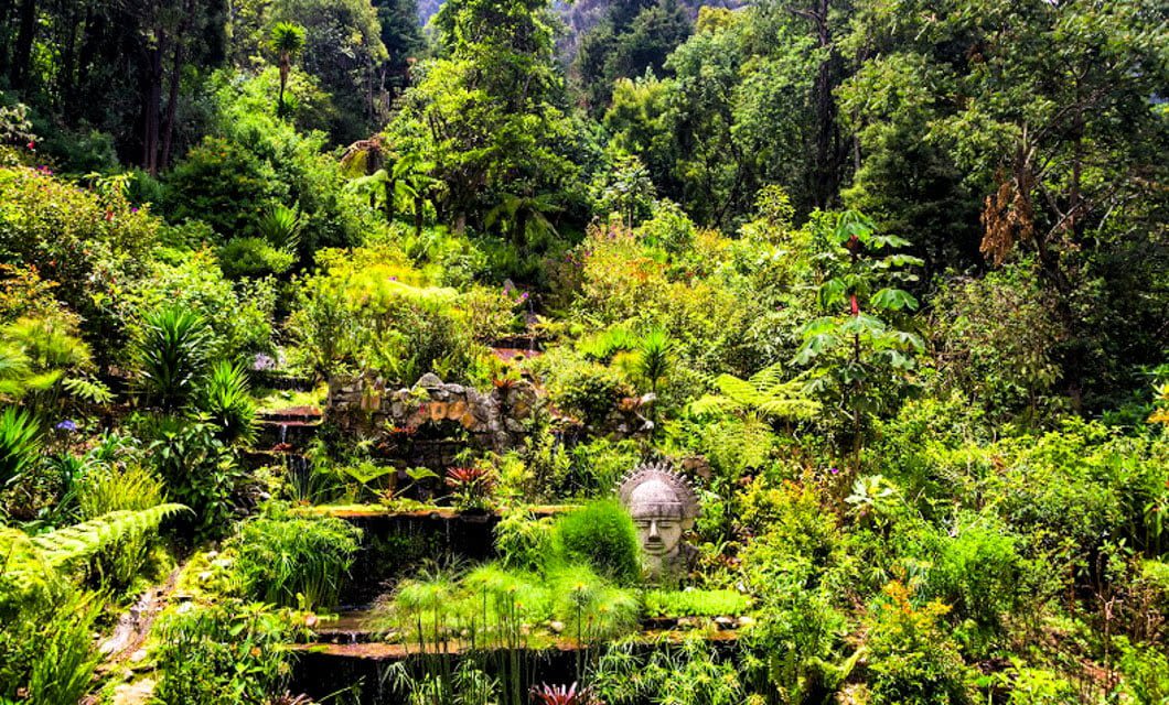 Lush, terraced garden filled with dense green plants and trees; a large stone Buddha head statue is partially hidden among the foliage, evoking the tranquil beauty found on a Colombia Botanical Tour.