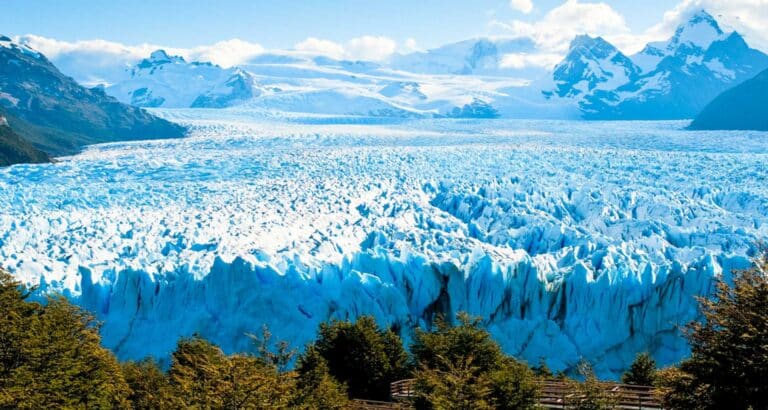 Expansive view of a bright blue glacier with jagged ice formations in Patagonia, surrounded by green trees in the foreground and snow-capped mountains under a blue sky in the background.