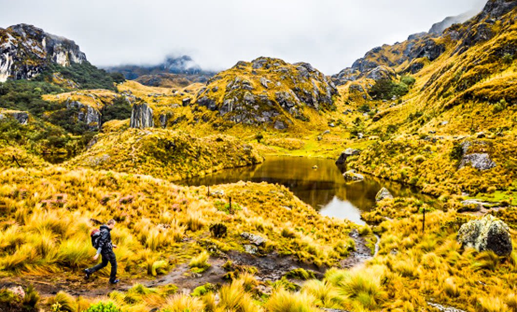 A hiker with a backpack walks along a trail beside a small lake, surrounded by yellow-green grass and rocky hills under a cloudy sky—typical of the scenic mountainous landscapes you might find on an Ecuador tour near Quito.
