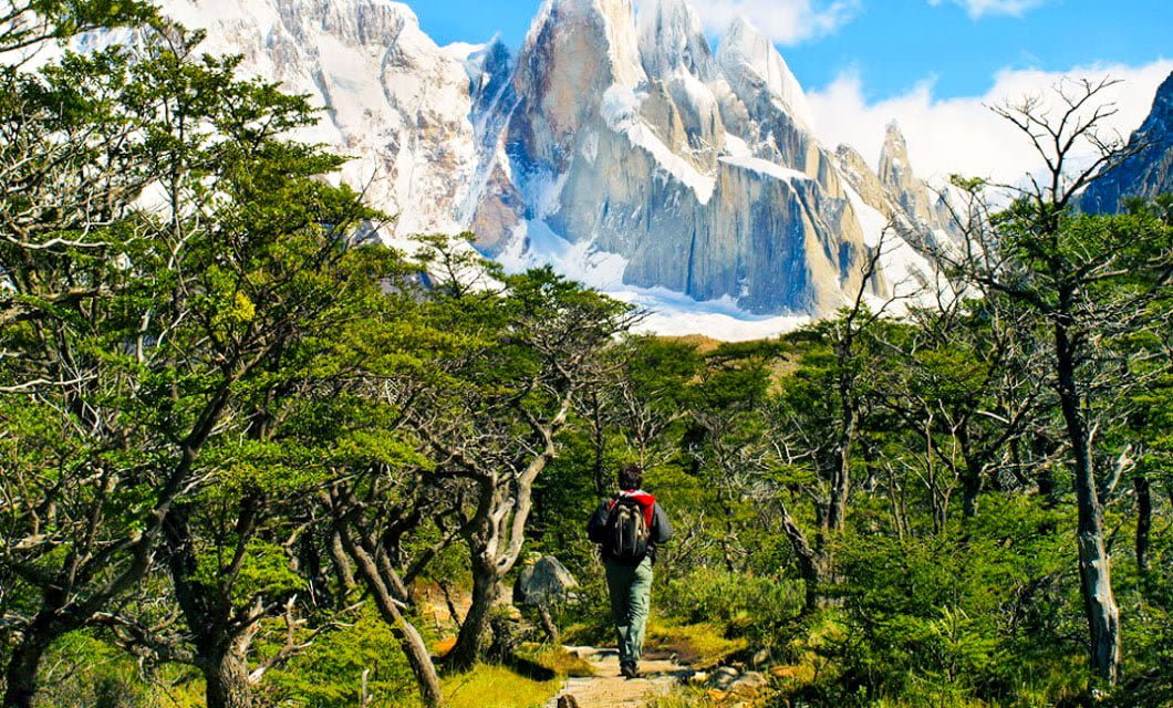 A person with a backpack hikes along a path through green trees in Patagonia, with dramatic snow-covered mountains and glaciers rising in the background under a blue sky with clouds.