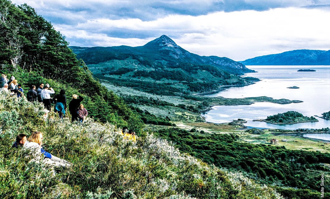 A group of people sits and stands on a hillside covered in greenery, overlooking a scenic landscape of Patagonia's mountains, forests, and a lake beneath a cloudy sky—an experience reminiscent of Australis Cruises through the Fuegian Fjords.