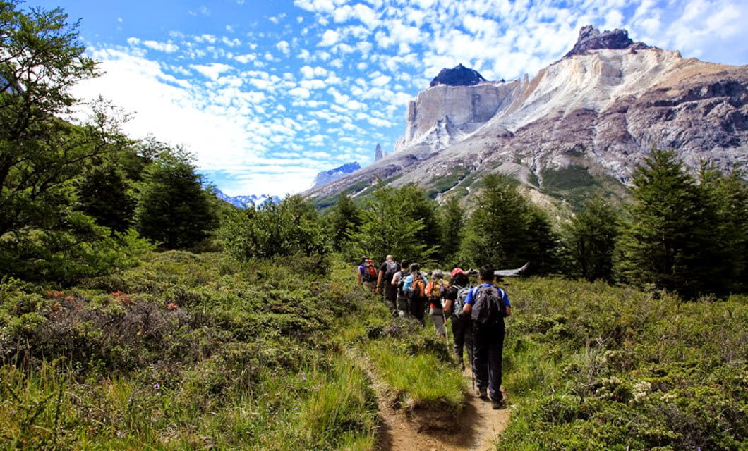 A group of hikers walk along a narrow dirt path through green shrubs and trees, trekking the famous W Circuit of Torres del Paine, approaching dramatic rocky mountains under a blue sky with scattered clouds.