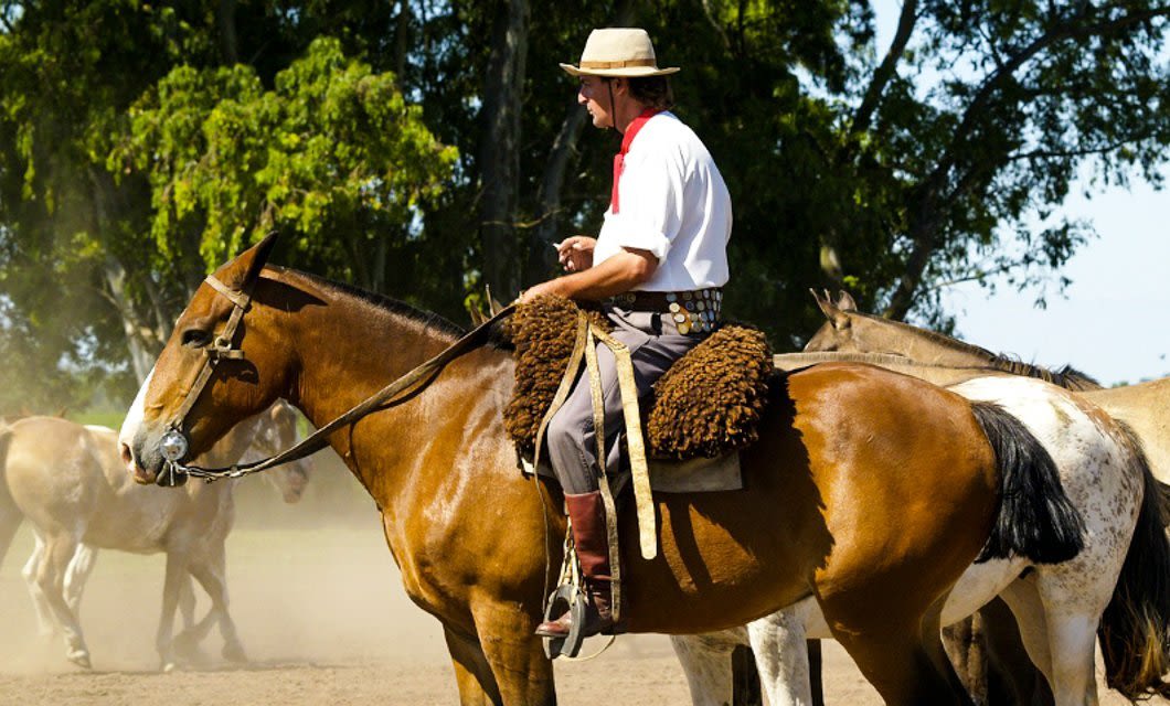 A person dressed in traditional gaucho attire sits atop a brown horse outdoors near El Calafate, holding the reins. Several other horses stand nearby, with trees visible in the background on this Patagonia Eco Tour.