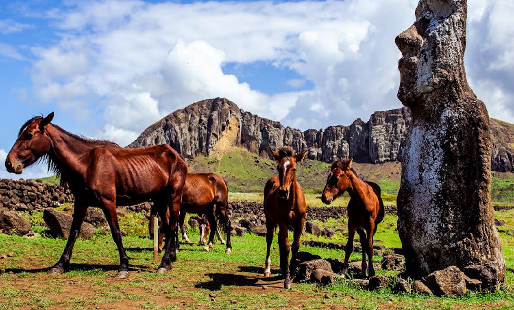 Several brown horses stand near a large stone moai statue on grassy land with rocky hills and a partly cloudy sky in the background, capturing the unique beauty of Easter Island—a must-see spot on any tour from Santiago.
