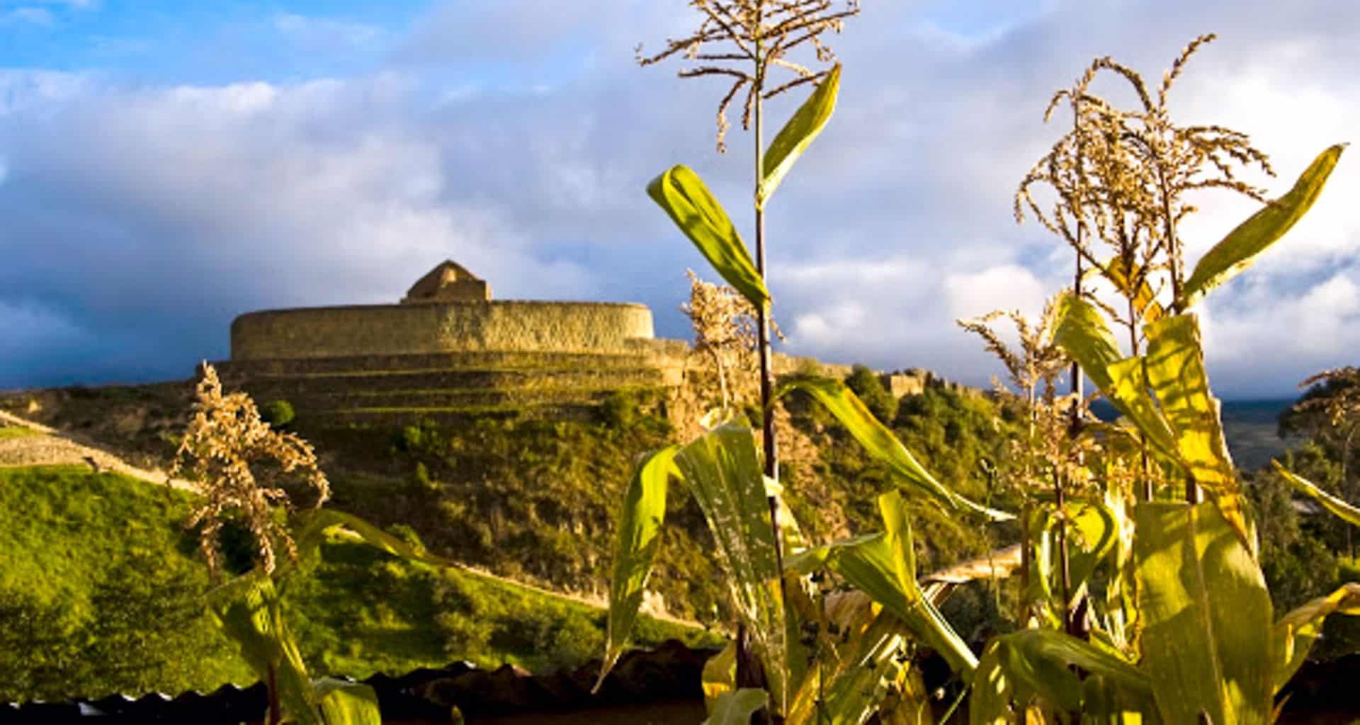 Ancient circular stone ruins stand atop a grassy hill under a cloudy sky in the heart of the Andes, with tall corn plants in the foreground. The weathered stones are surrounded by lush Andean greenery.