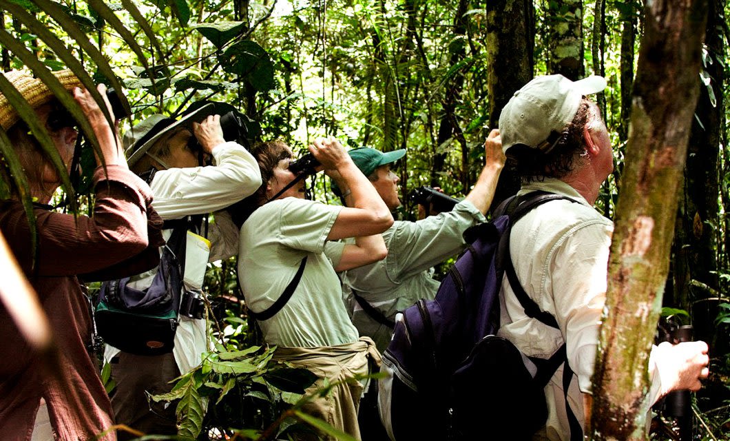 A group of people in hats and backpacks stand closely together in the lush Atlantic Rainforest, looking up into the trees and observing through binoculars on a Brazil Adventure Tour.