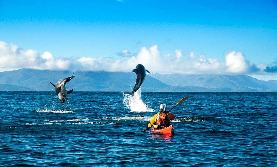 A person in an orange kayak paddles on the ocean near Patagonia, facing two dolphins leaping from the water, with distant mountains and a partly cloudy sky in the background—an adventure worthy of Australis Cruises through the Fuegian Fjords.