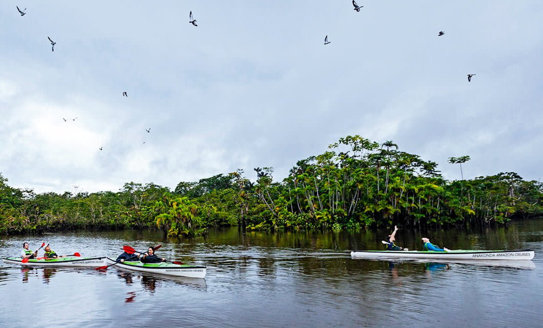 Three canoes with people paddling on a calm river, surrounded by lush green trees. Birds fly overhead under a cloudy sky. This peaceful scene captures the natural beauty often experienced on luxury Amazon cruises.