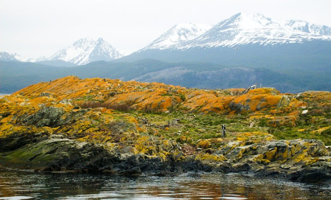 Rocky shoreline covered with orange and green moss, with snow-capped mountains and forested hills in the background under a cloudy sky, reflected in calm water—a classic Patagonian landscape of Chile.