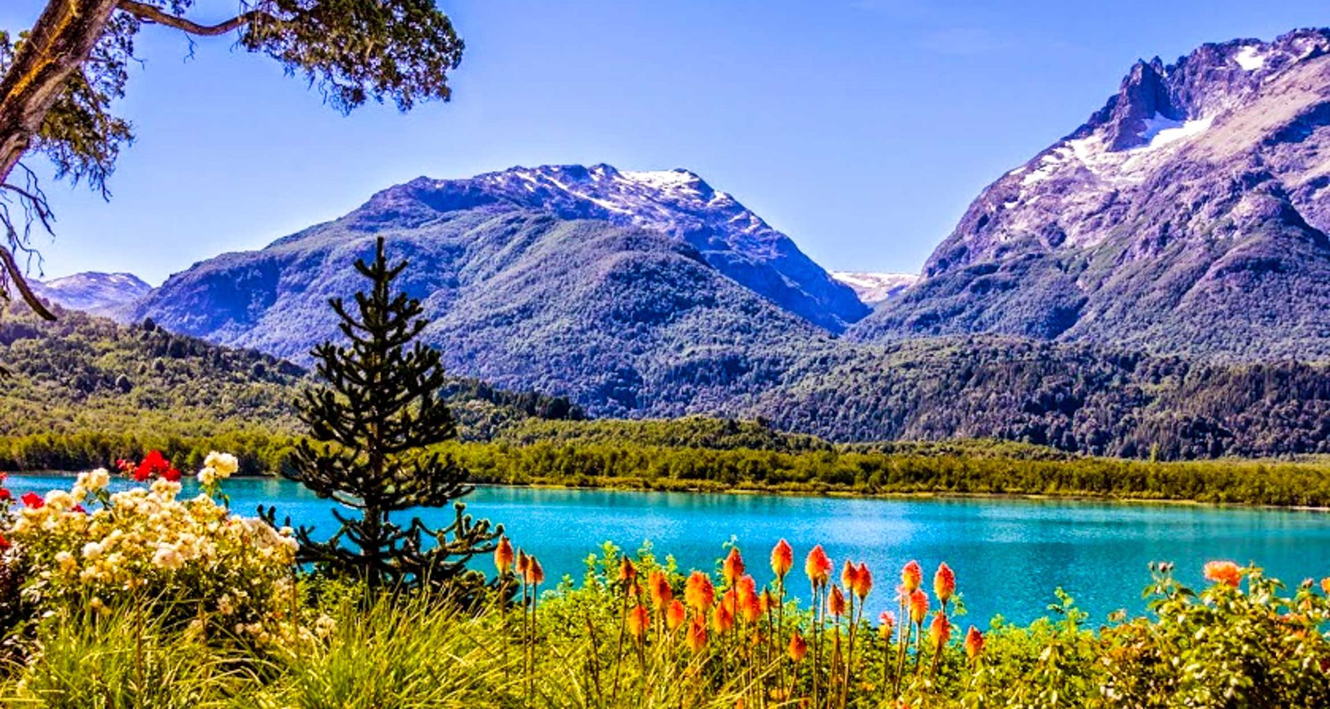A vibrant lake with turquoise water is surrounded by lush green trees, colorful flowers, and snow-capped mountains under a clear blue sky—capturing the breathtaking beauty of Patagonia on the border of Chile and Argentina.