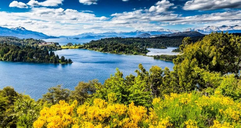 Scenic view of a blue lake surrounded by lush green forests, yellow wildflowers in the foreground, and distant snow-capped mountains beneath a partly cloudy blue sky—an unforgettable highlight of Argentina travel.