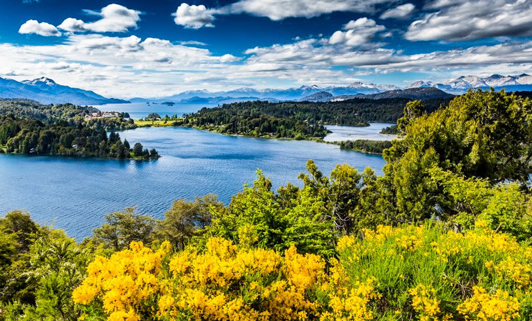 A vibrant landscape in Argentina with a blue lake surrounded by green forests and distant snow-capped mountains under a partly cloudy sky, with bright yellow flowers in the foreground—truly the best of Argentina.
