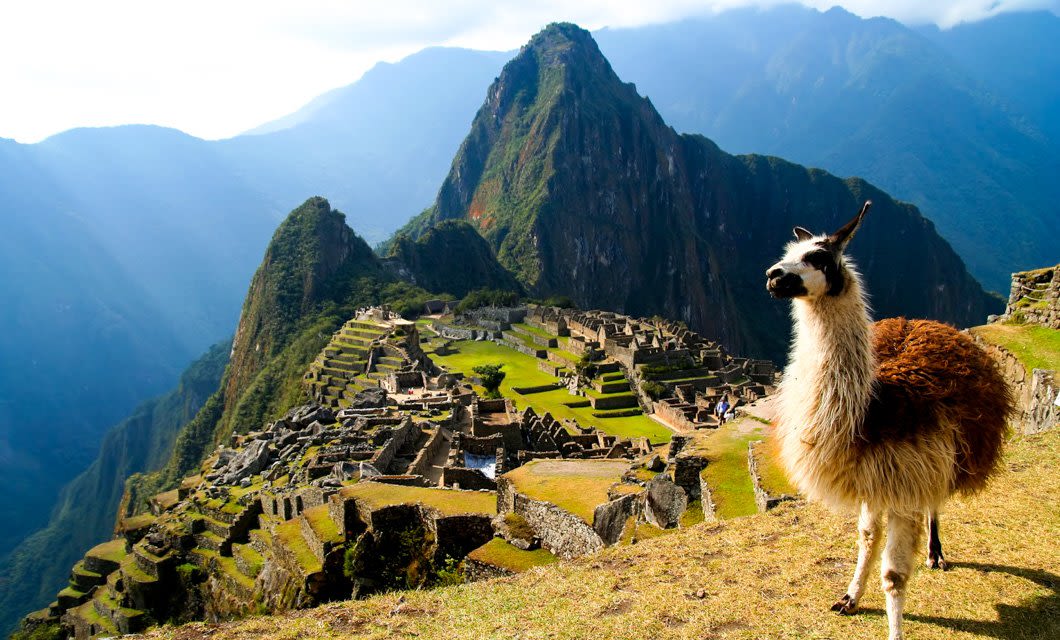 A llama stands on a grassy hill along the Salkantay Trek, overlooking the ancient stone ruins of Machu Picchu in Peru, with green mountains and sunlight streaming through clouds in the background.