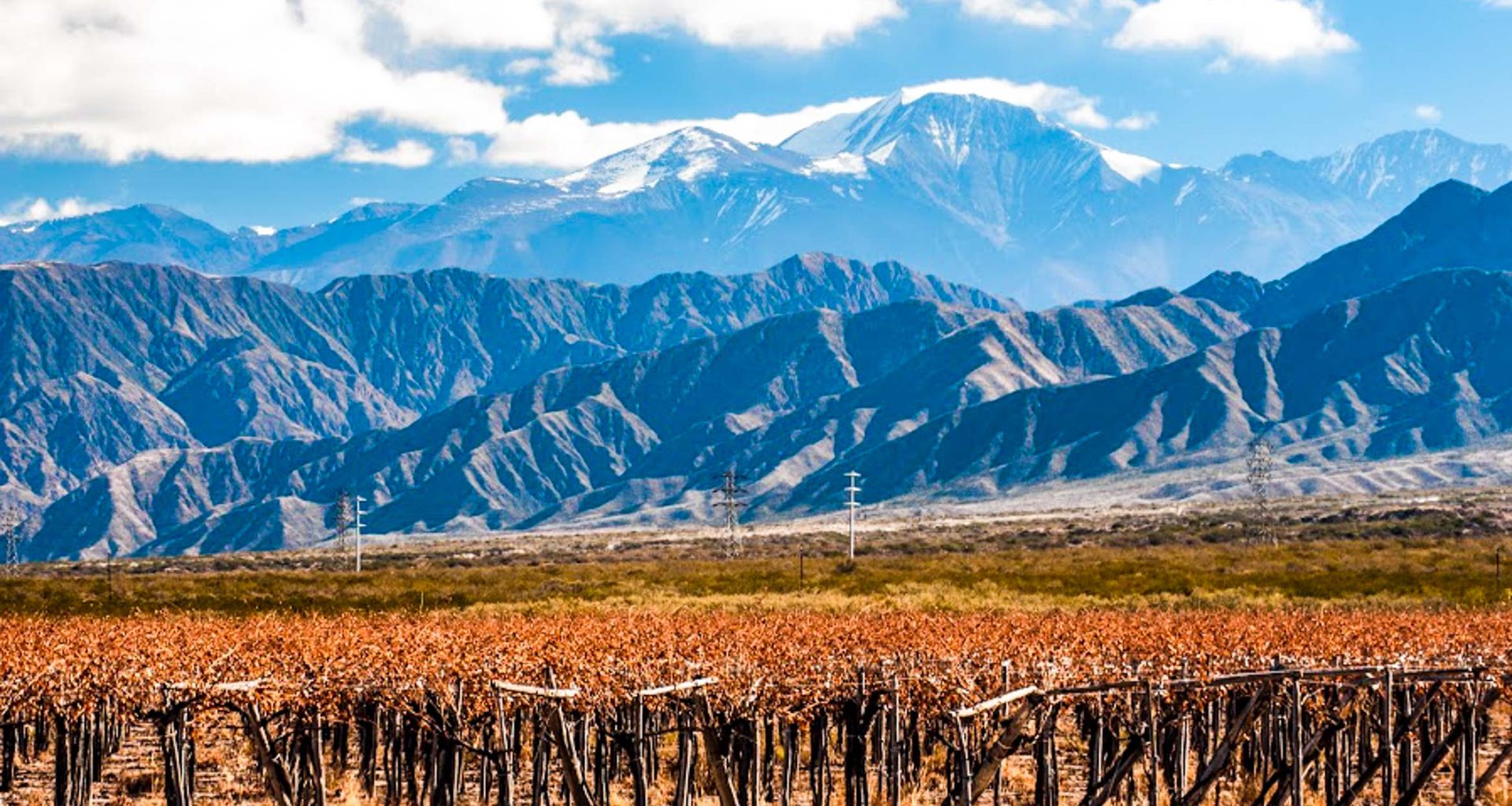 Vineyard with rows of dry, leafless grapevines in the foreground, set in Argentina—the Land of Contrast—backed by rugged, colorful mountains and snow-capped peaks under a partly cloudy sky.