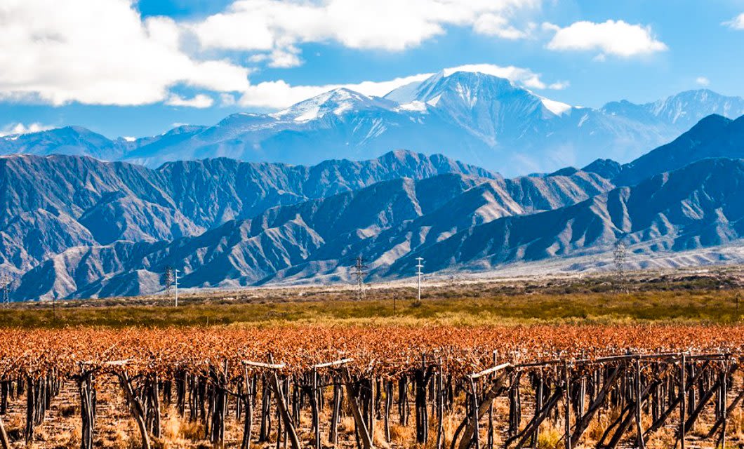 Rows of grapevines in a vineyard stretch across the foreground in Argentina, with rugged, rocky mountains and snow-capped peaks rising in the Land of Contrast under a partly cloudy blue sky.