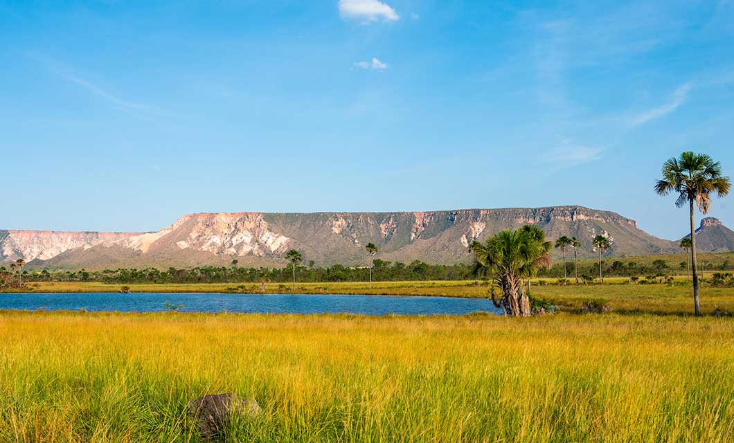 A grassy plain with scattered palm trees, a blue lake in the middle ground, and a range of rocky, flat-topped hills under a clear blue sky—an iconic scene from Brazil's Cerrado awaits on your next Jalapão tour.