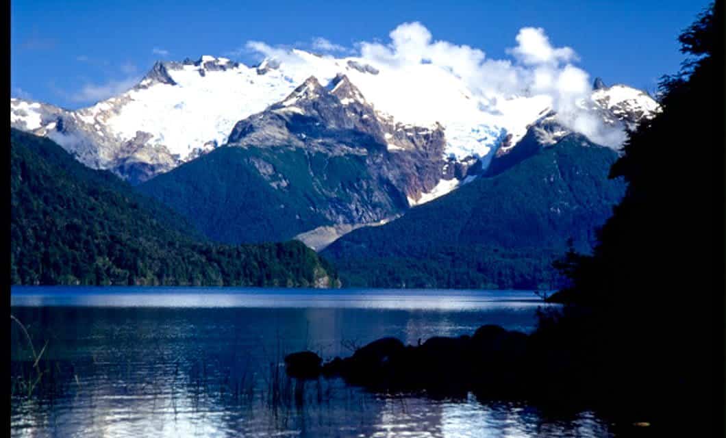 Snow-capped mountains rise above lush green forests and a calm blue lake under a bright, clear sky. The water reflects the Patagonia Lakes scenery, while the shaded shoreline is dotted with trees and rocks in the foreground.