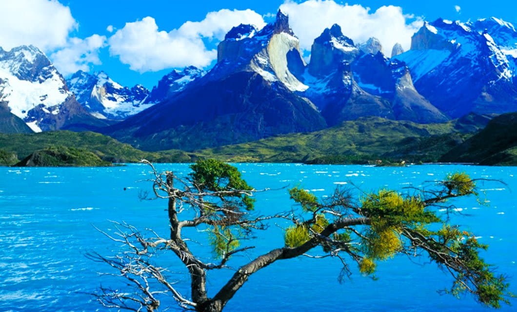 A vivid blue lake in the foreground with a windswept tree, set against dramatic, jagged snow-capped mountains and partly cloudy skies in Tierra del Fuego—an unforgettable scene near Buenos Aires for those on a southern cruise adventure.