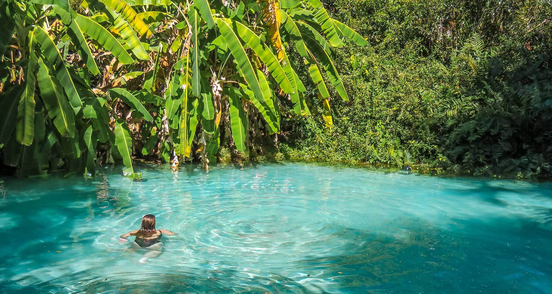 A person swims alone in a clear, turquoise pool surrounded by lush green tropical plants and tall banana leaves, capturing the untamed beauty of Brazil’s Cerrado on a serene Jalapão tour under bright sunlight.