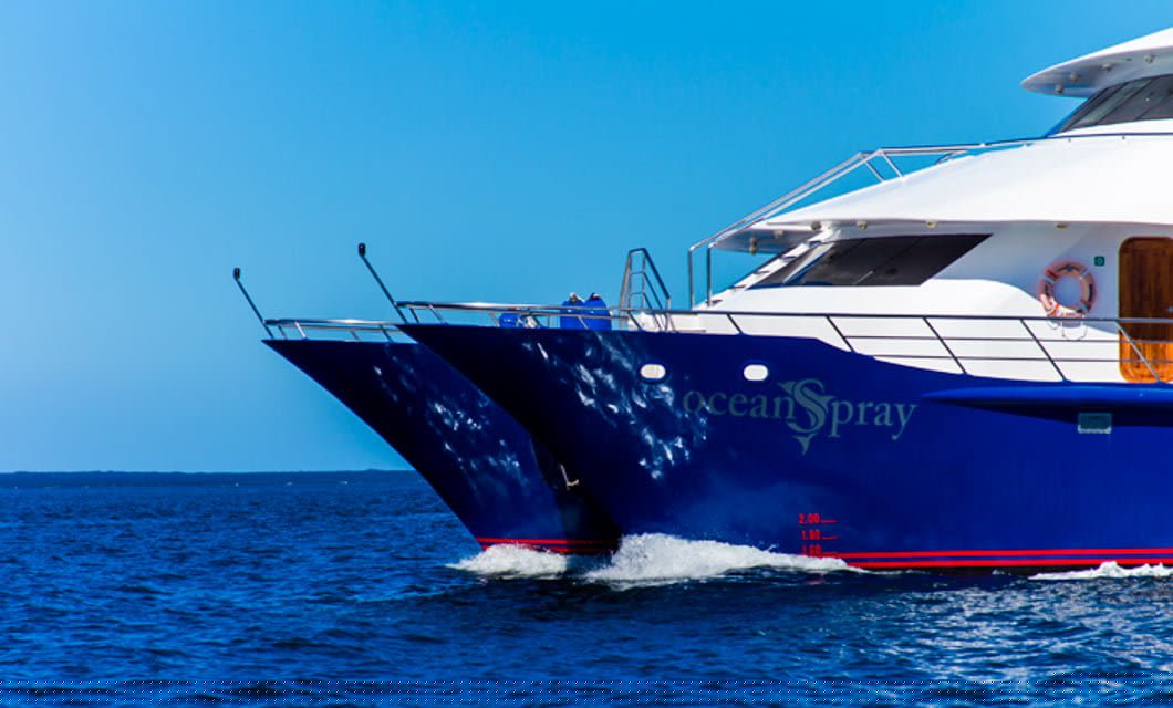 A close-up view of the front section of the blue and white luxury catamaran yacht, Ocean Spray, cruising on calm, deep blue water under a clear sky during an unforgettable Ocean Spray Galapagos cruise.