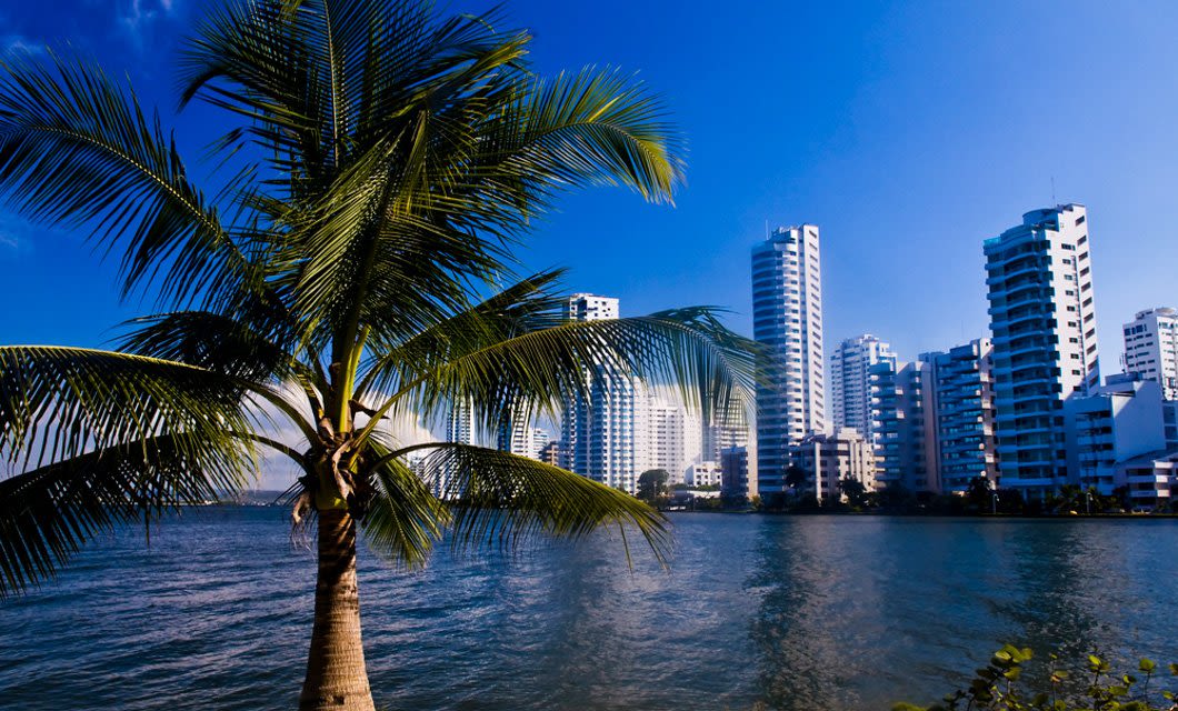 A tall palm tree stands by the water with modern high-rise buildings in the background under a clear blue sky, inviting you to experience a Colombia Gourmet Tour amidst stunning scenery.