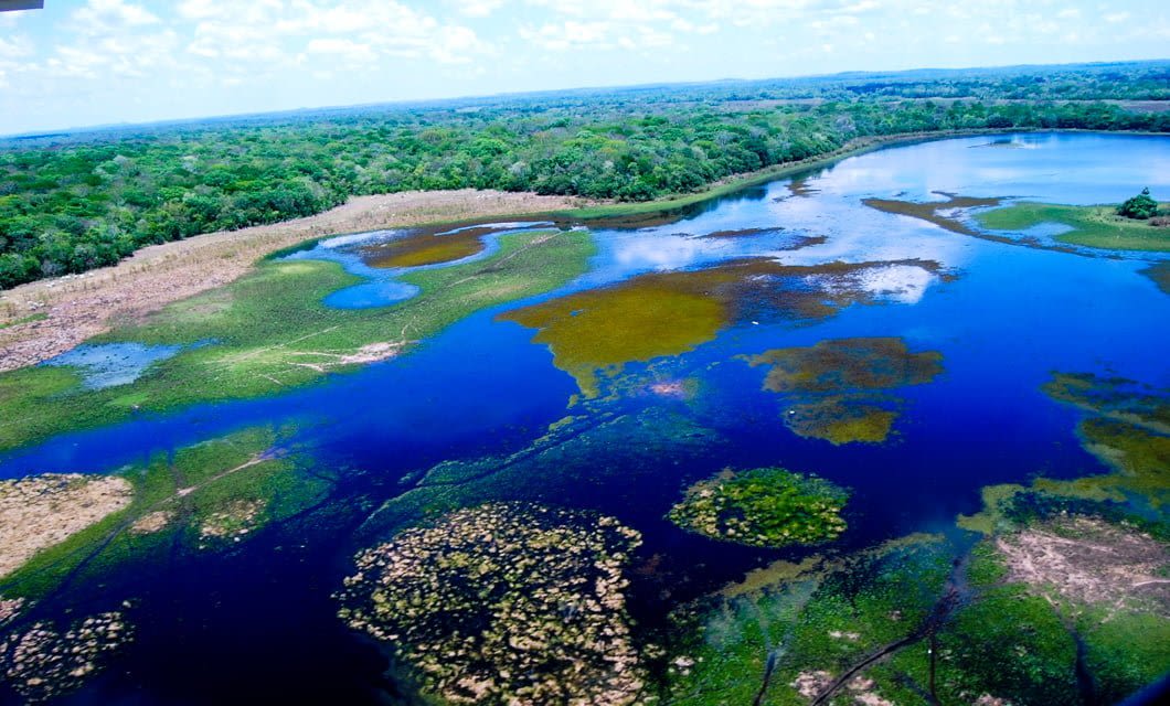 Aerial view of the vibrant Pantanal Wetlands, with blue water, lush green vegetation, and marsh patches, bordered by dense forest under a partly cloudy sky—perfect for an unforgettable tour from a local estancia.