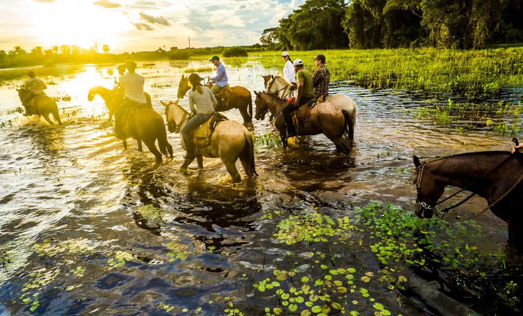 A group of people on horseback cross a shallow, sunlit Pantanal Wetlands with green aquatic plants, surrounded by lush trees and reflecting the golden sky.
