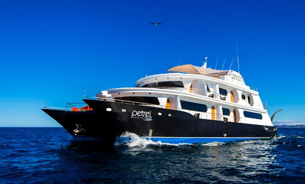 A large, modern black and white yacht named Petrel cruises on calm blue ocean water under a clear blue sky, offering a true Luxury Galapagos Cruise experience, with a single bird flying overhead.